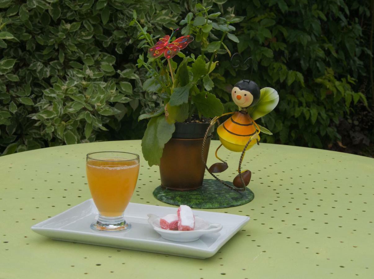 Bed and Breakfast Les Rendzines Nuisement-sur-Coole Экстерьер фото