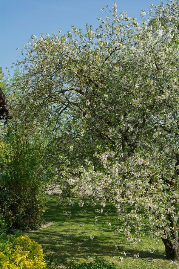 Bed and Breakfast Les Rendzines Nuisement-sur-Coole Экстерьер фото
